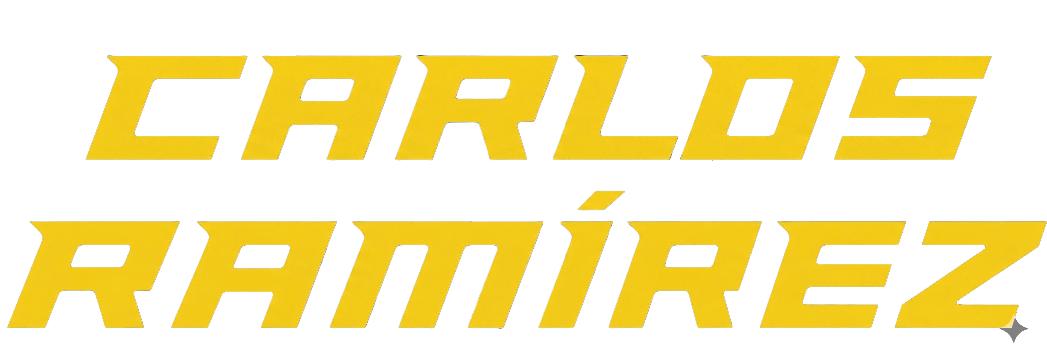 Panthers Training Logo