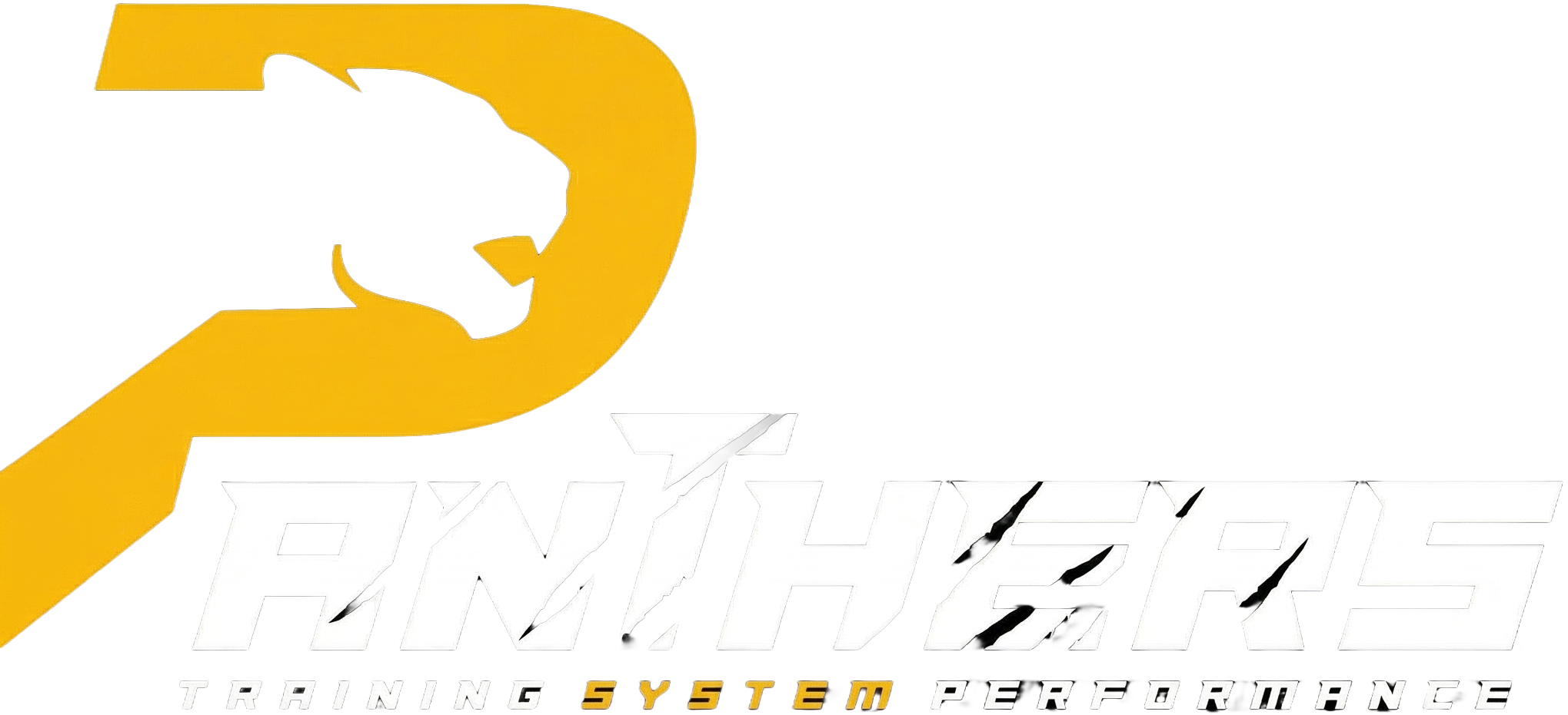 Panthers Training